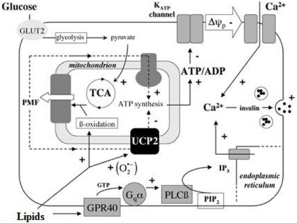 low-glycemid-diet-fig2.png low-glycemid-diet-fig2.png